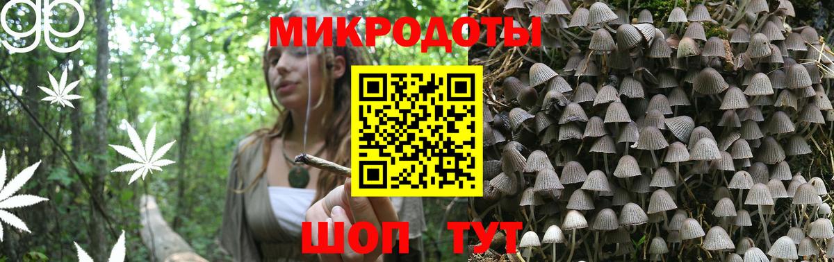 Галлюциногенные грибы Cubensis  Вход с VPN  Томск 
