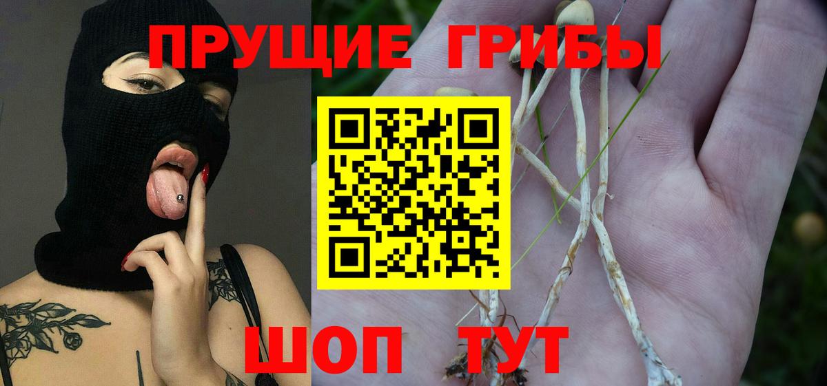 Псилоцибиновые грибы ЛСД Томск